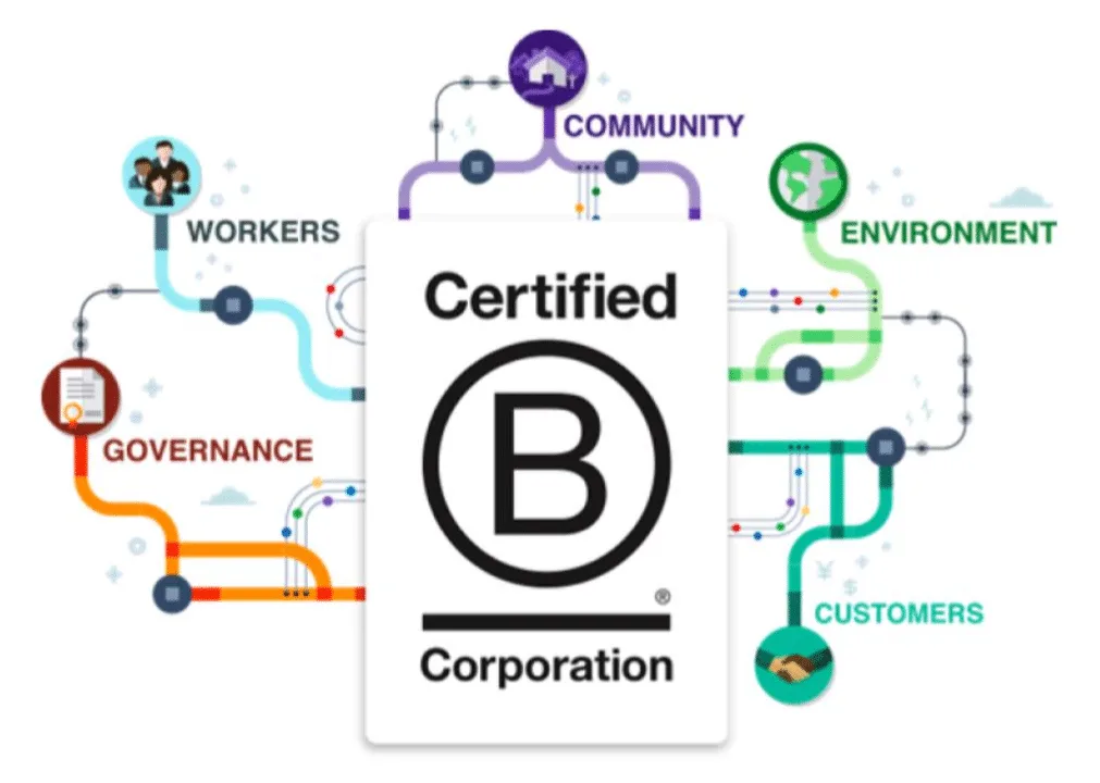 The B Corp diagram.